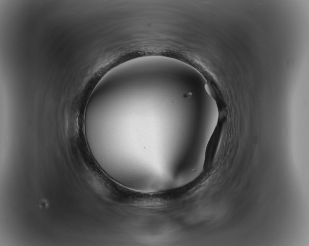 X0000085290685200703091410
