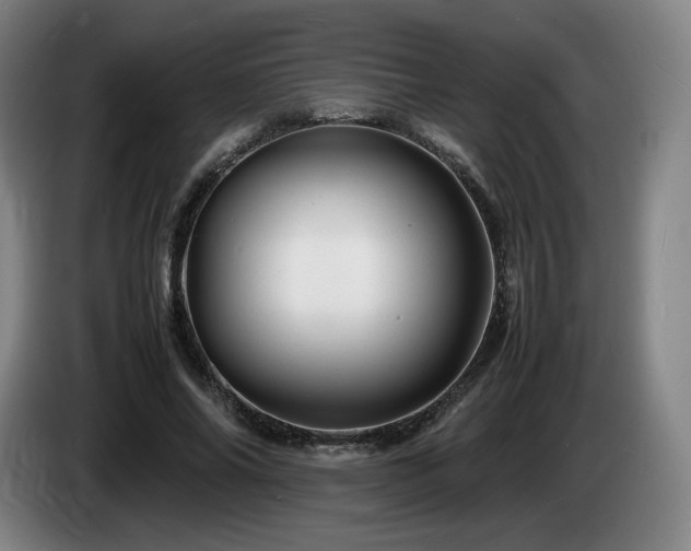 X0000085290686200703091410