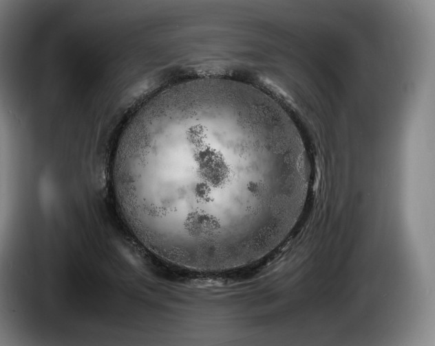 X0000085290687200703091410