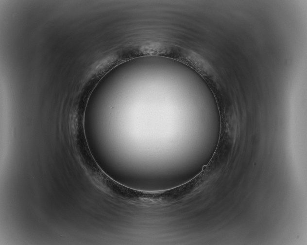 X0000085290690200703091410