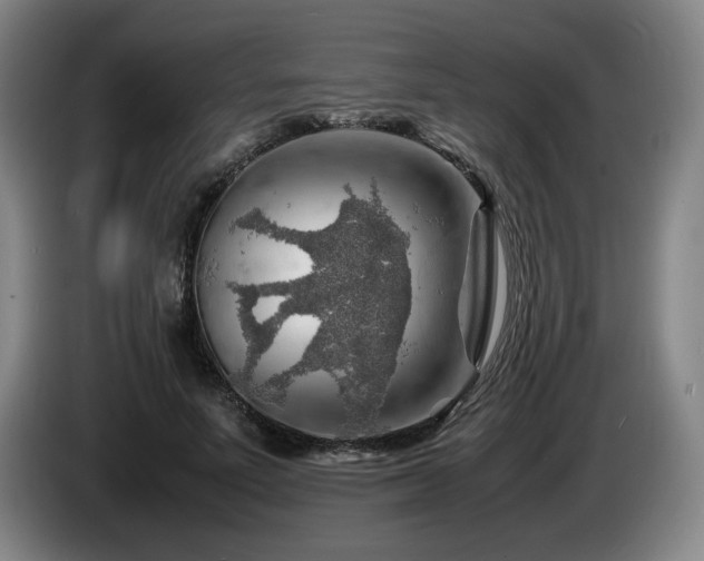 X0000085290691200703091410