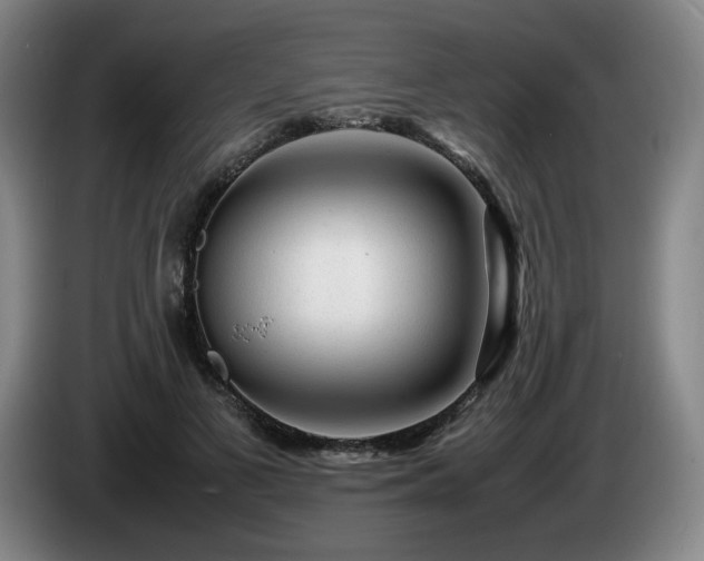 X0000085290693200703091410