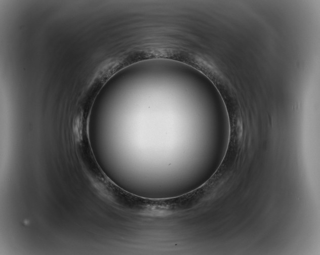 X0000085290694200703091410