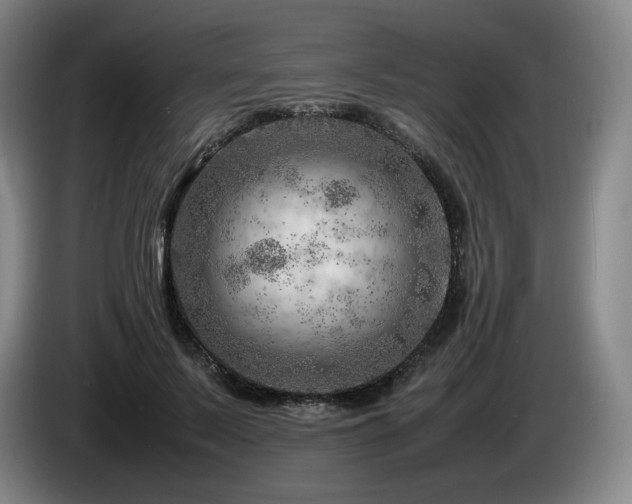 X0000085290695200703091410