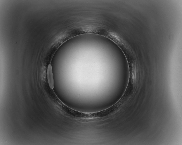 X0000085290696200703091410