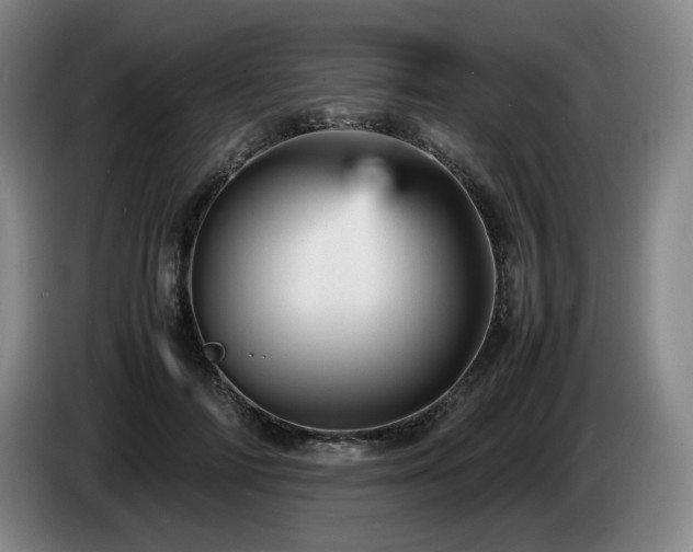 X0000085290698200703091410