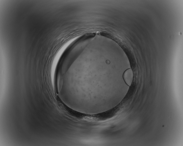X0000085290699200703091410