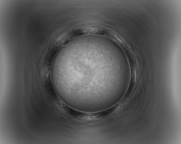 X0000085290701200703091410