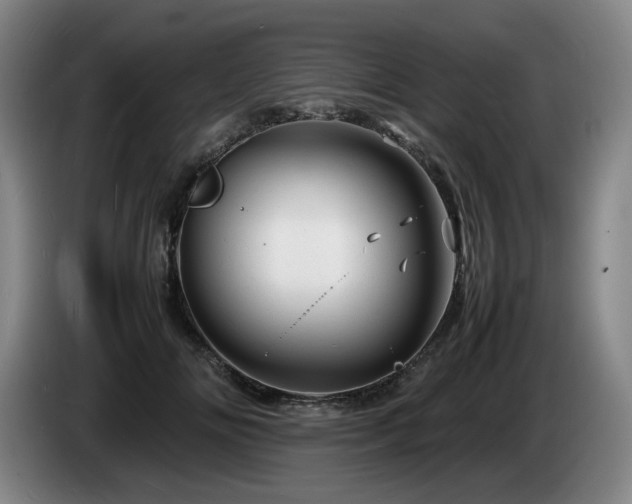 X0000085290702200703091410