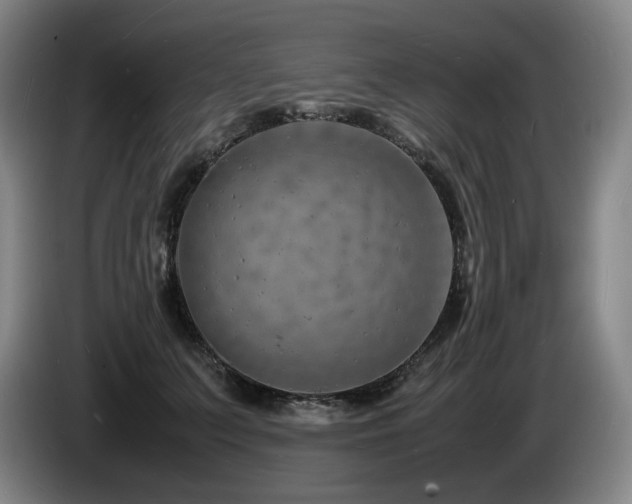X0000085290703200703091410