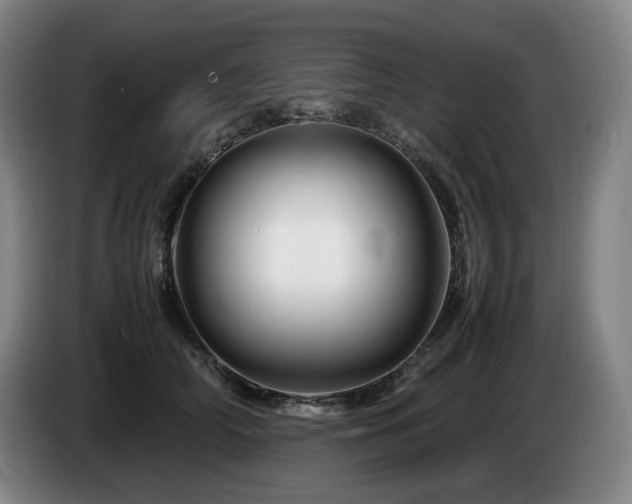 X0000085290706200703091410