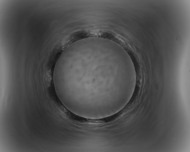X0000085290707200703091410