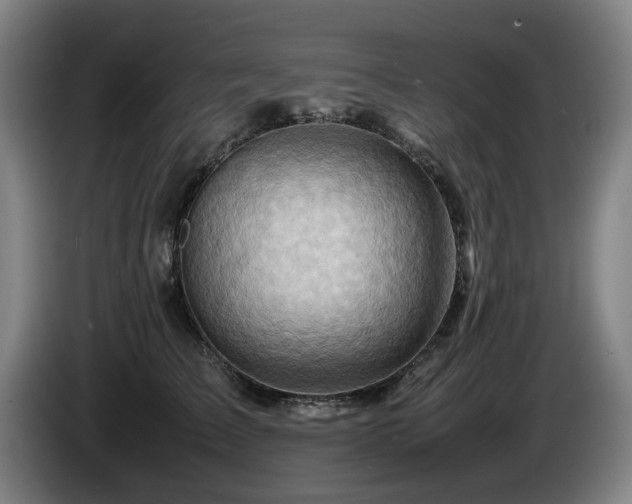 X0000085290709200703091410