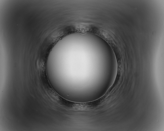 X0000085290713200703091410