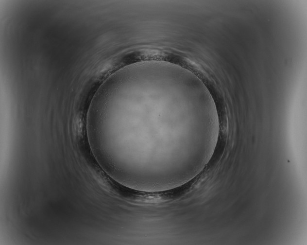 X0000085290715200703091410