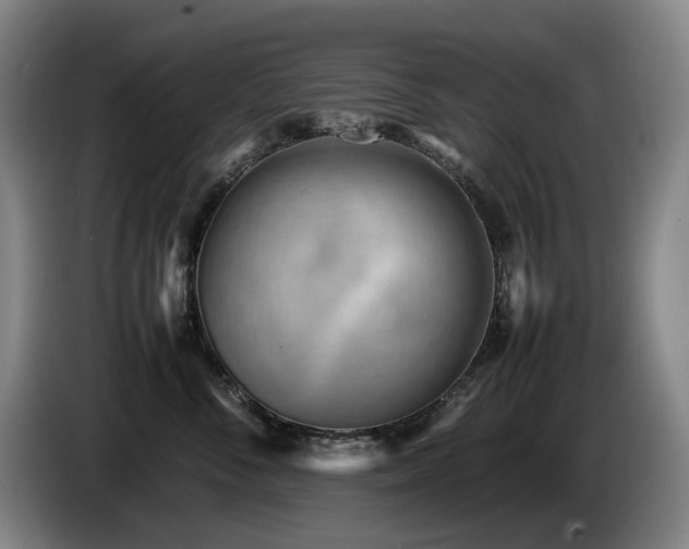 X0000085290716200703091410