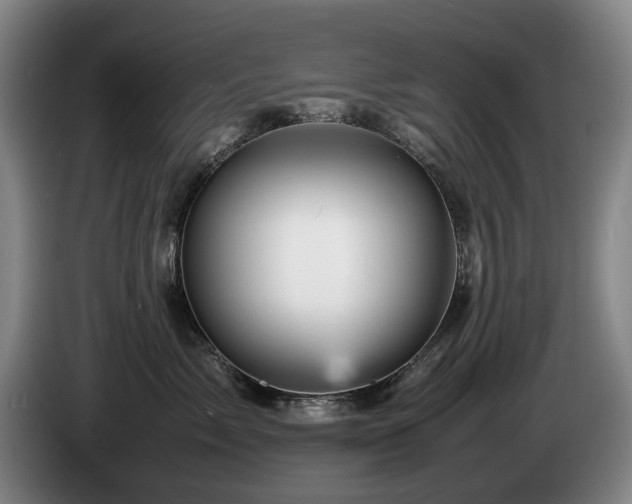 X0000085290717200703091410