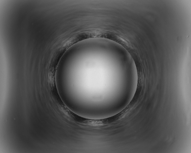 X0000085290719200703091410