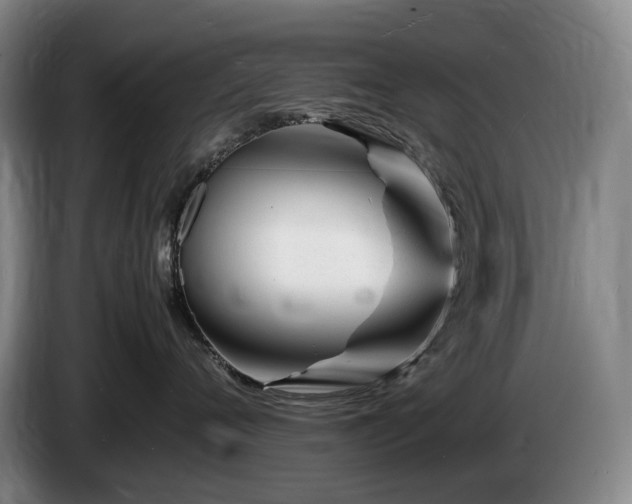 X0000085290720200703091410