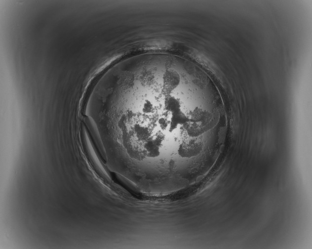 X0000085290721200703091409