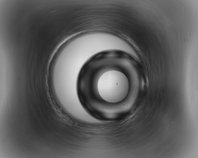 X0000085290724200703091409
