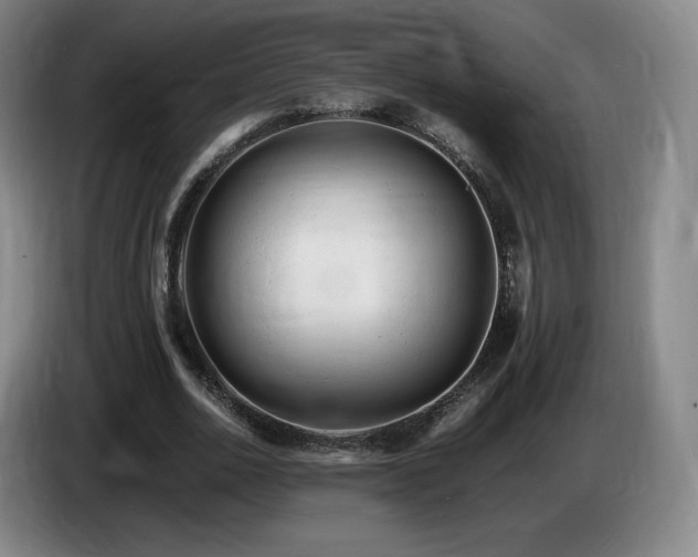 X0000085290726200703091409