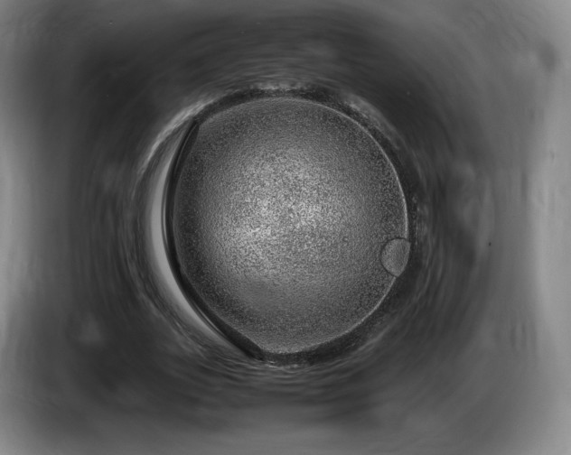 X0000085290727200703091409