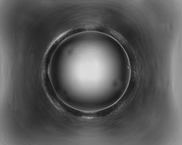 X0000085290728200703091409