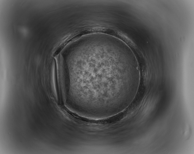 X0000085290729200703091409