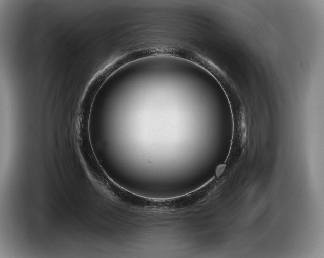 X0000085290730200703091409