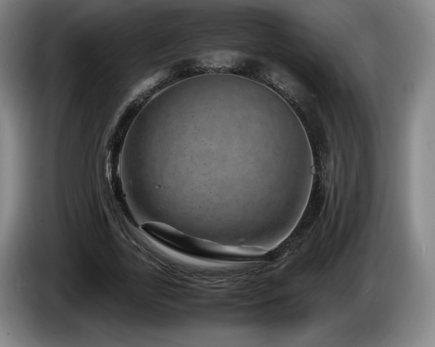 X0000085290731200703091409