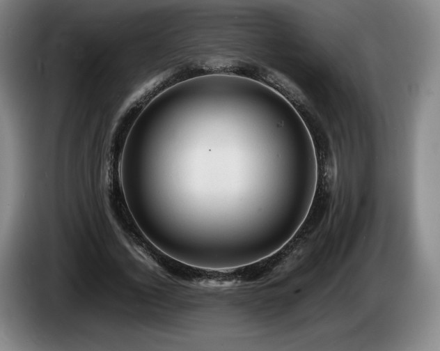 X0000085290732200703091409