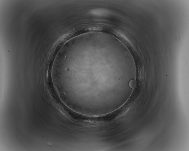 X0000085290733200703091409