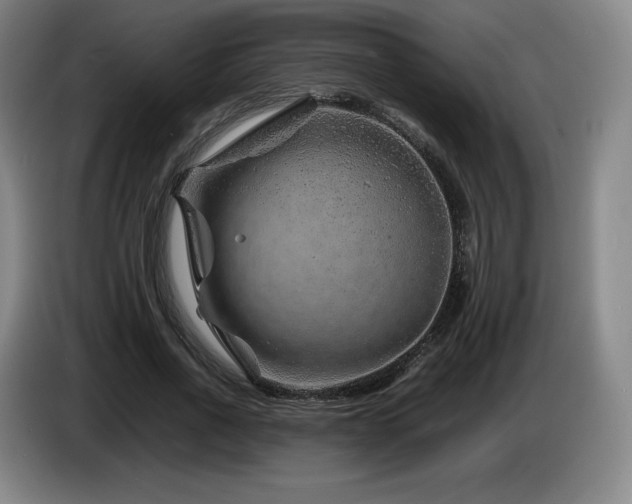 X0000085290734200703091409