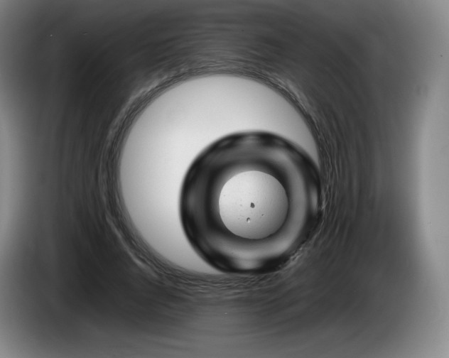 X0000085290736200703091409