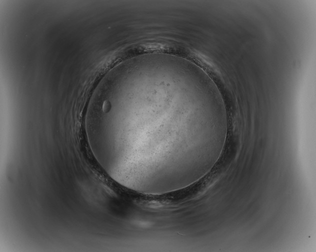 X0000085290737200703091409