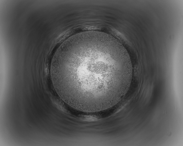 X0000085290741200703091409