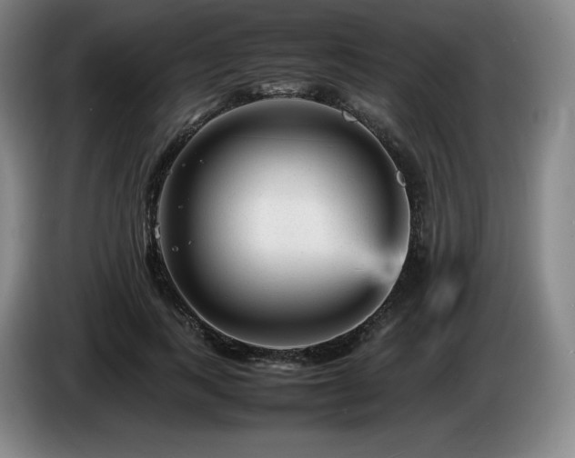 X0000085290743200703091410