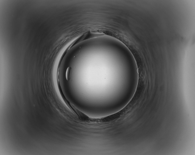X0000085290744200703091410