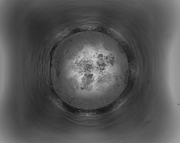 X0000085290745200703091410