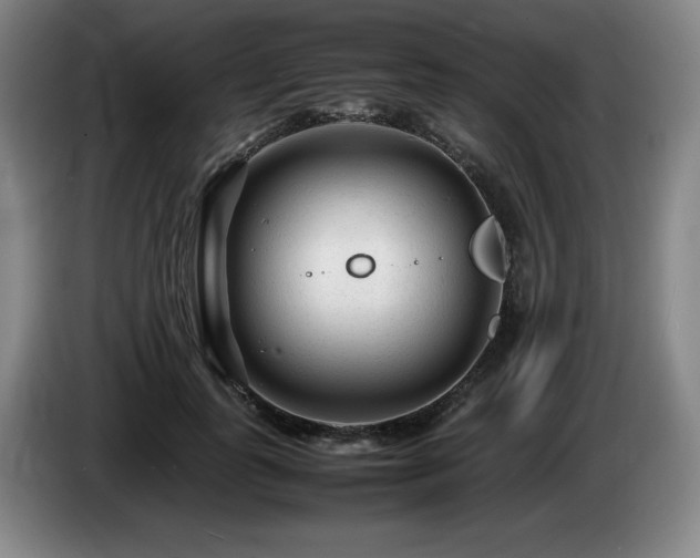X0000085290747200703091410