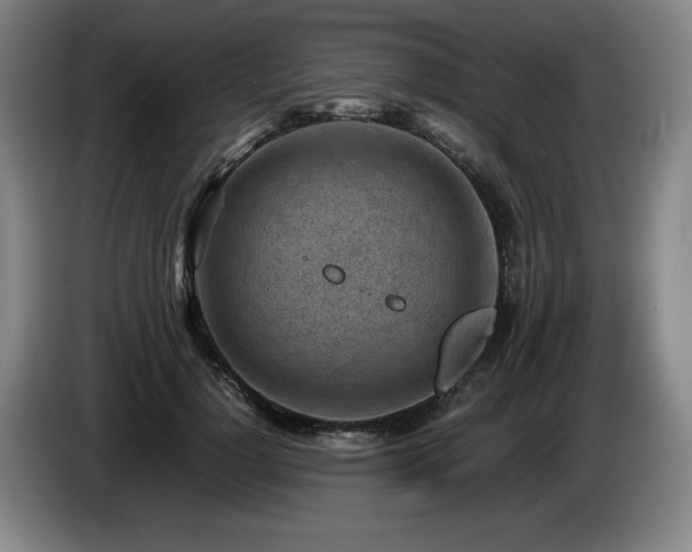 X0000085290748200703091410
