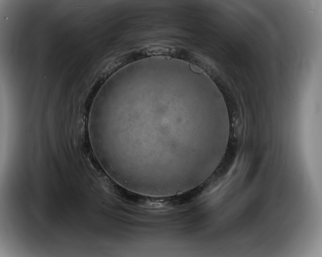 X0000085290753200703091410
