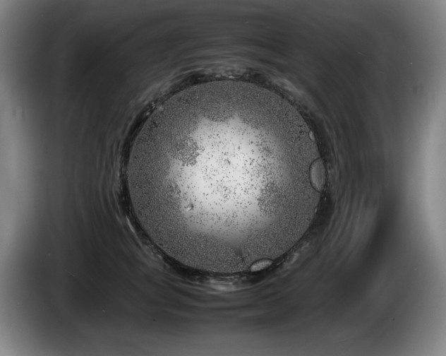 X0000085290757200703091410