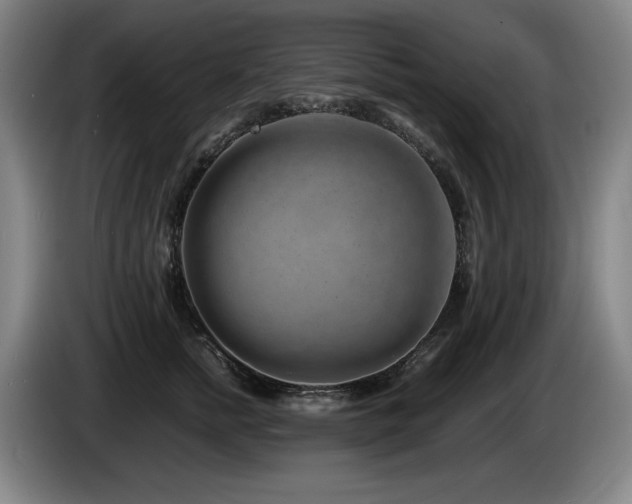X0000085290758200703091410