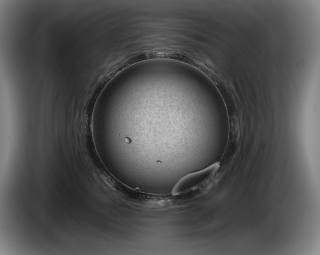 X0000085290760200703091410