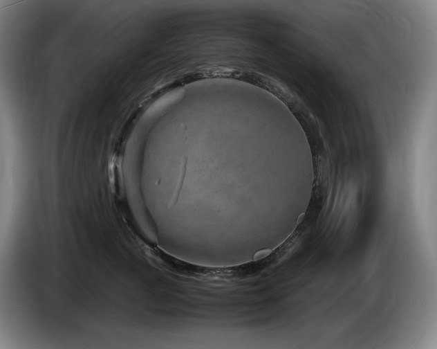 X0000085290761200703091410