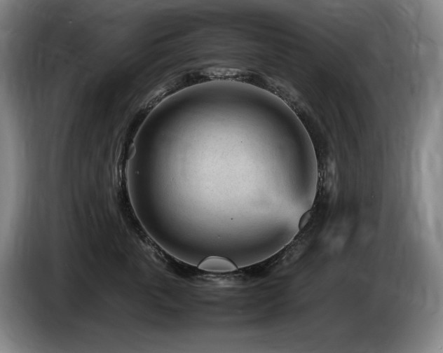 X0000085290763200703091410