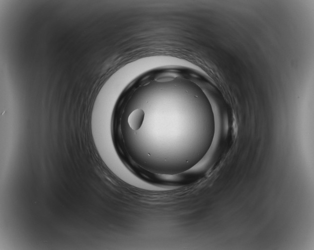 X0000085290766200703091410