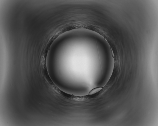 X0000085290767200703091410